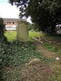 image of grave number 768307